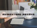 无棣黑客漫画素材下载网站（黑客动漫头像）