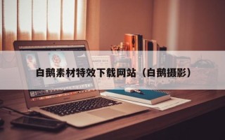 无棣白鹅素材特效下载网站（白鹅摄影）